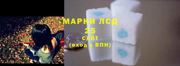 ПСИЛОЦИБИНОВЫЕ ГРИБЫ Бородино