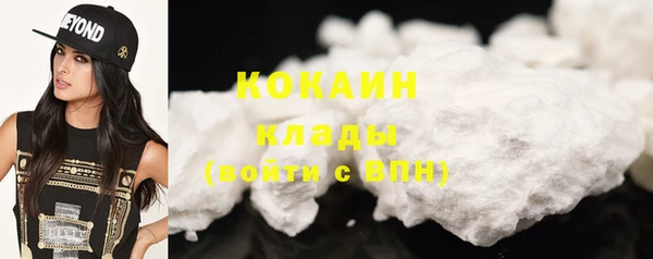 ПСИЛОЦИБИНОВЫЕ ГРИБЫ Бородино