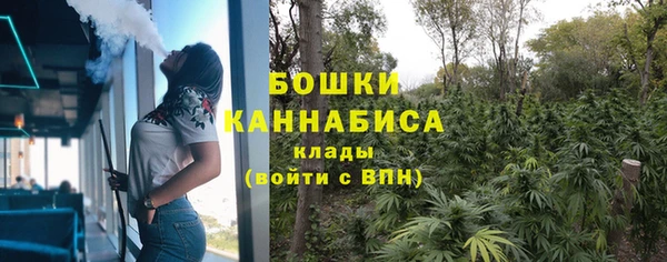 ПСИЛОЦИБИНОВЫЕ ГРИБЫ Бородино