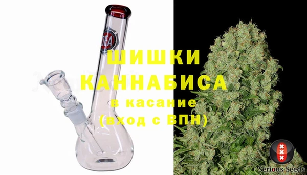 ПСИЛОЦИБИНОВЫЕ ГРИБЫ Бородино