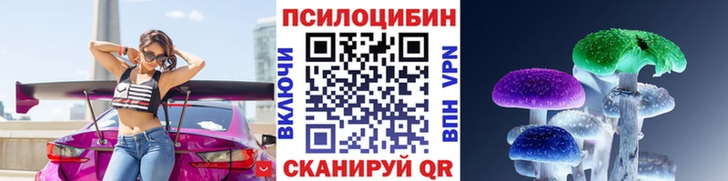Галлюциногенные грибы Cubensis где найти Ковдор
